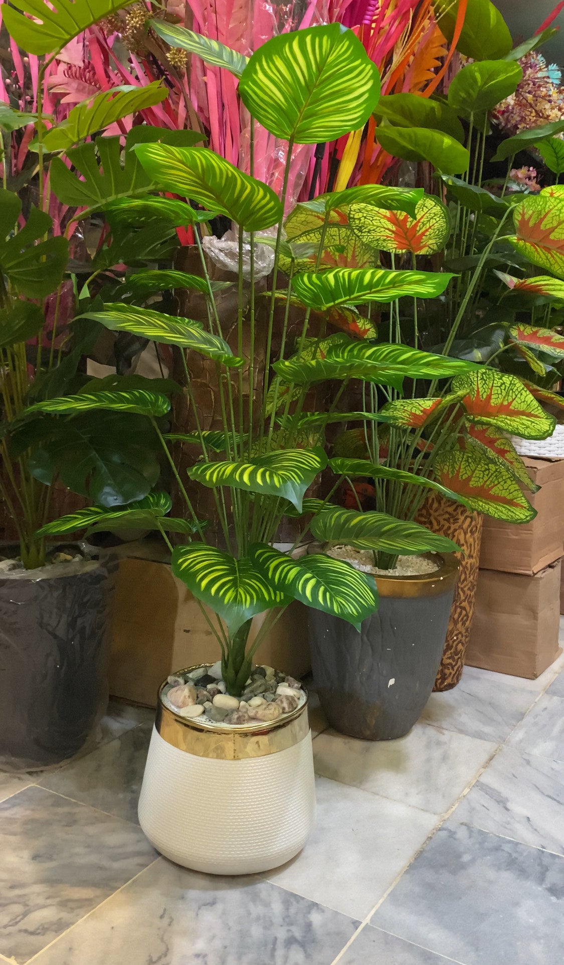 4.5 ft Artificial Money Plant in Black GRP Non-Breakable Planter