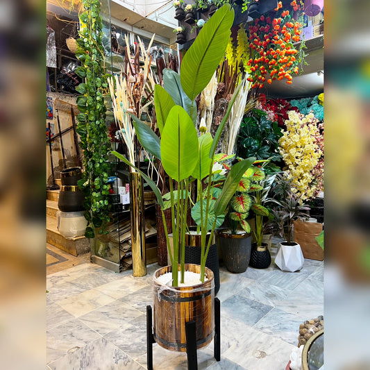 5.5FT Artificial Banana Plant in Wooden Pinterest Planter | Modern Indoor Décor