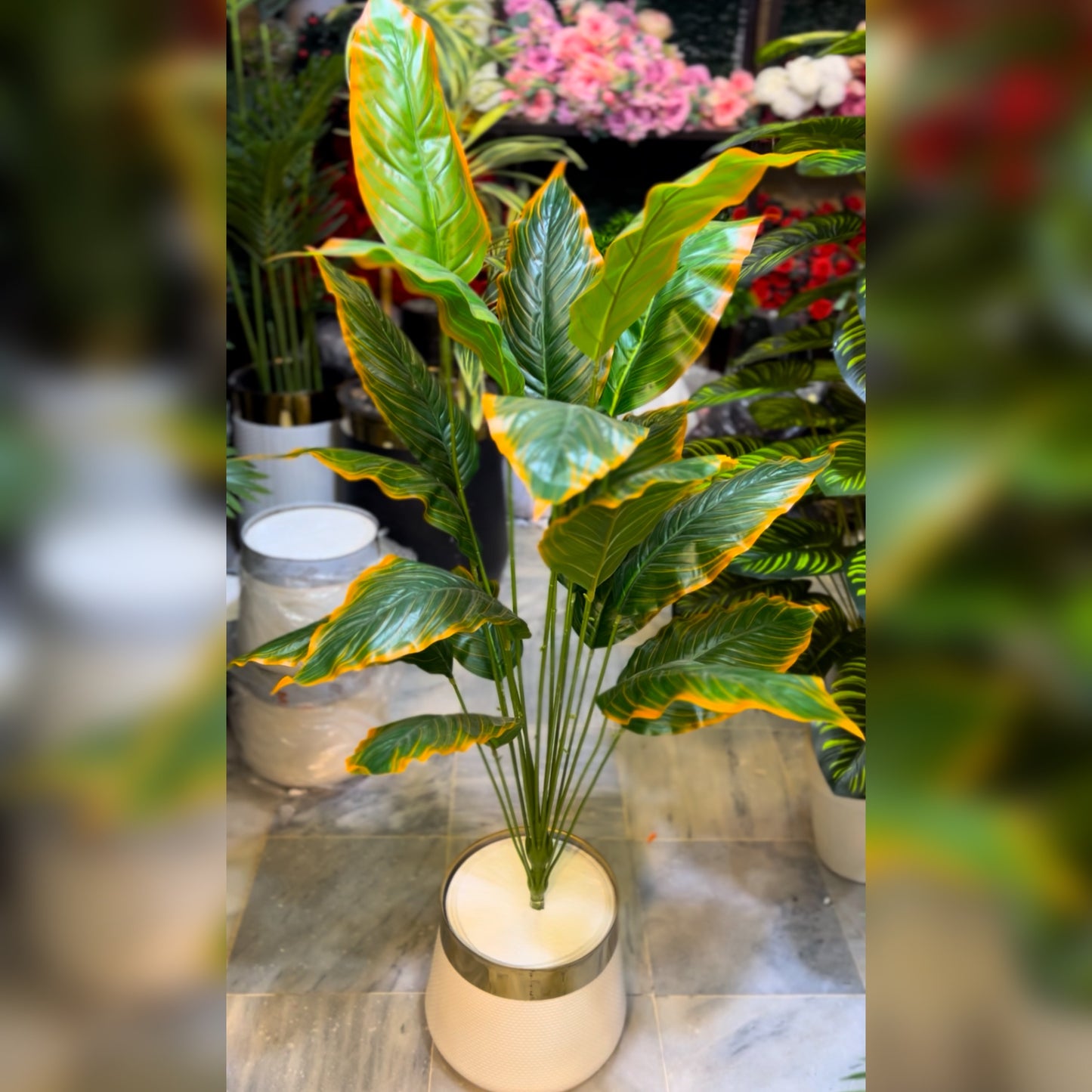 Artificial Dieffenbachia Plant 5 ft in GRP Planter Tall Indoor Decorative Plant for Home & Office Decoror