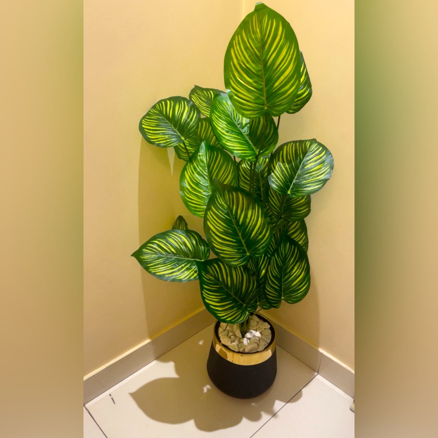 4.5 ft Artificial Money Plant in Black GRP Non-Breakable Planter