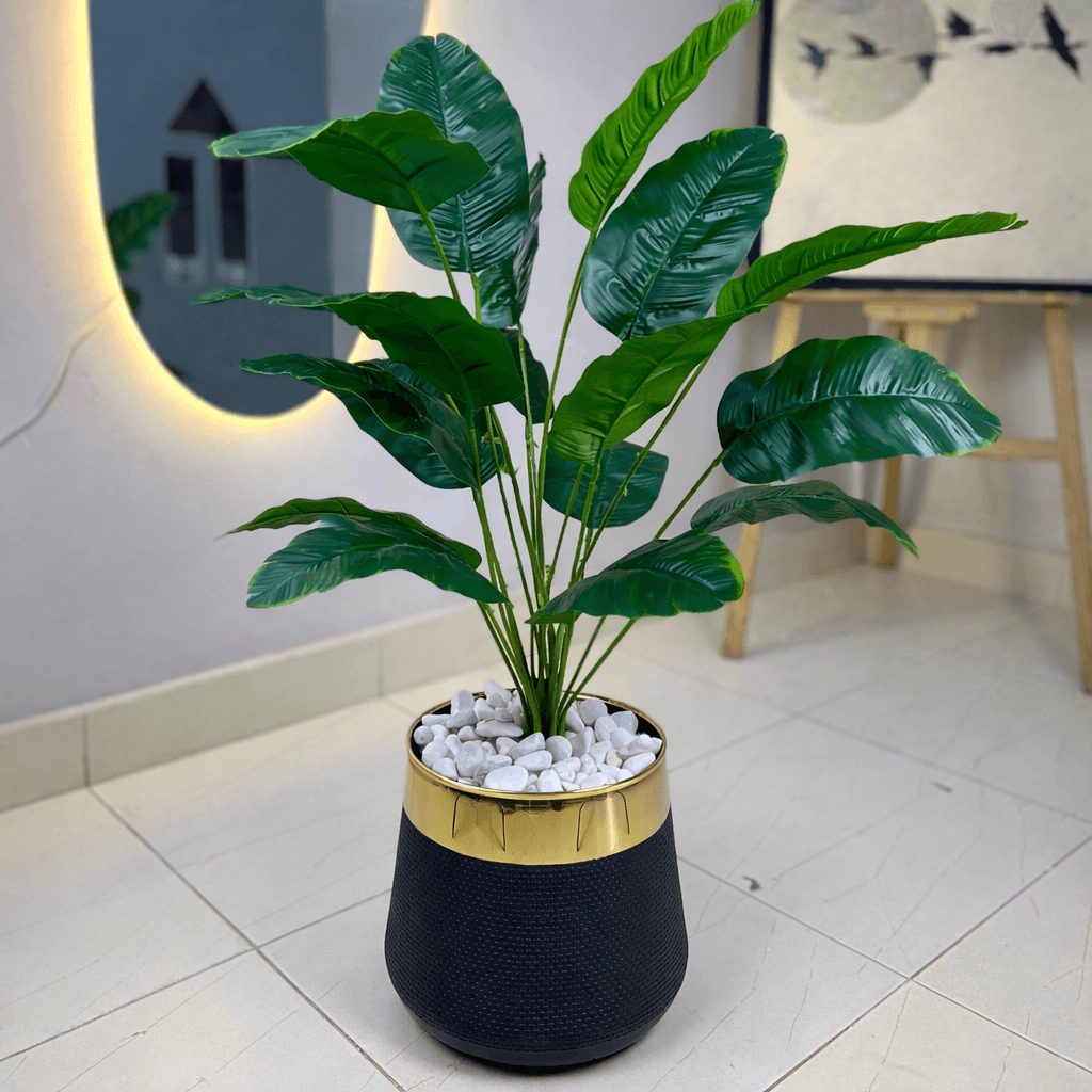 18 Leaf banana palm Planter Set