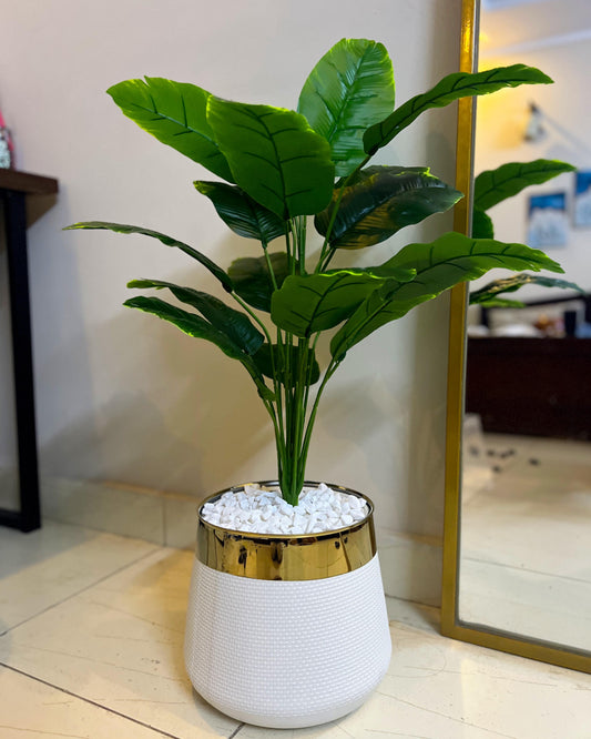 17-Leaf Planter Set