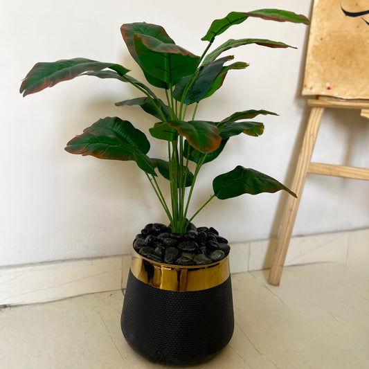 17-Leaf Planter Set