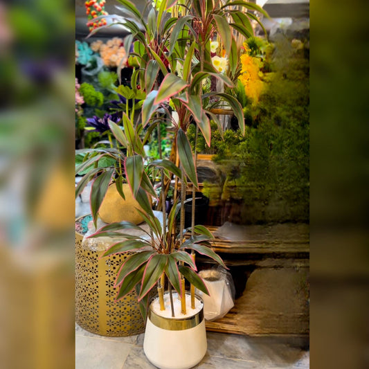 6 Ft Artificial Plant with Multi-Shaded Leaves – Tall Indoor & Outdoor Decorative Greenery
