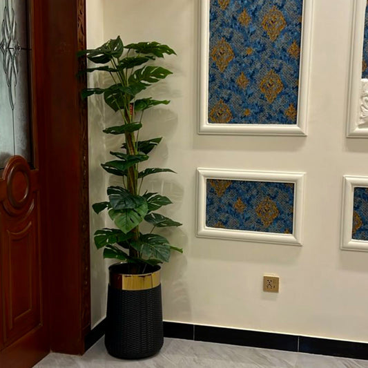 5.5 ft Artificial Swiss Cheese Plant with Coconut Husk – Premium Indoor Floor Décor