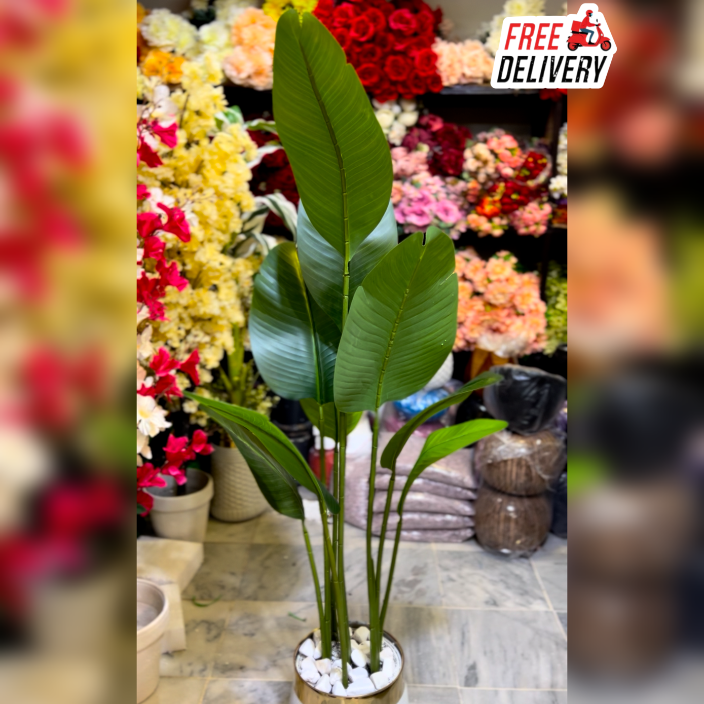5.5 FT Artificial Banana Palm Plant  With Premium White Pot