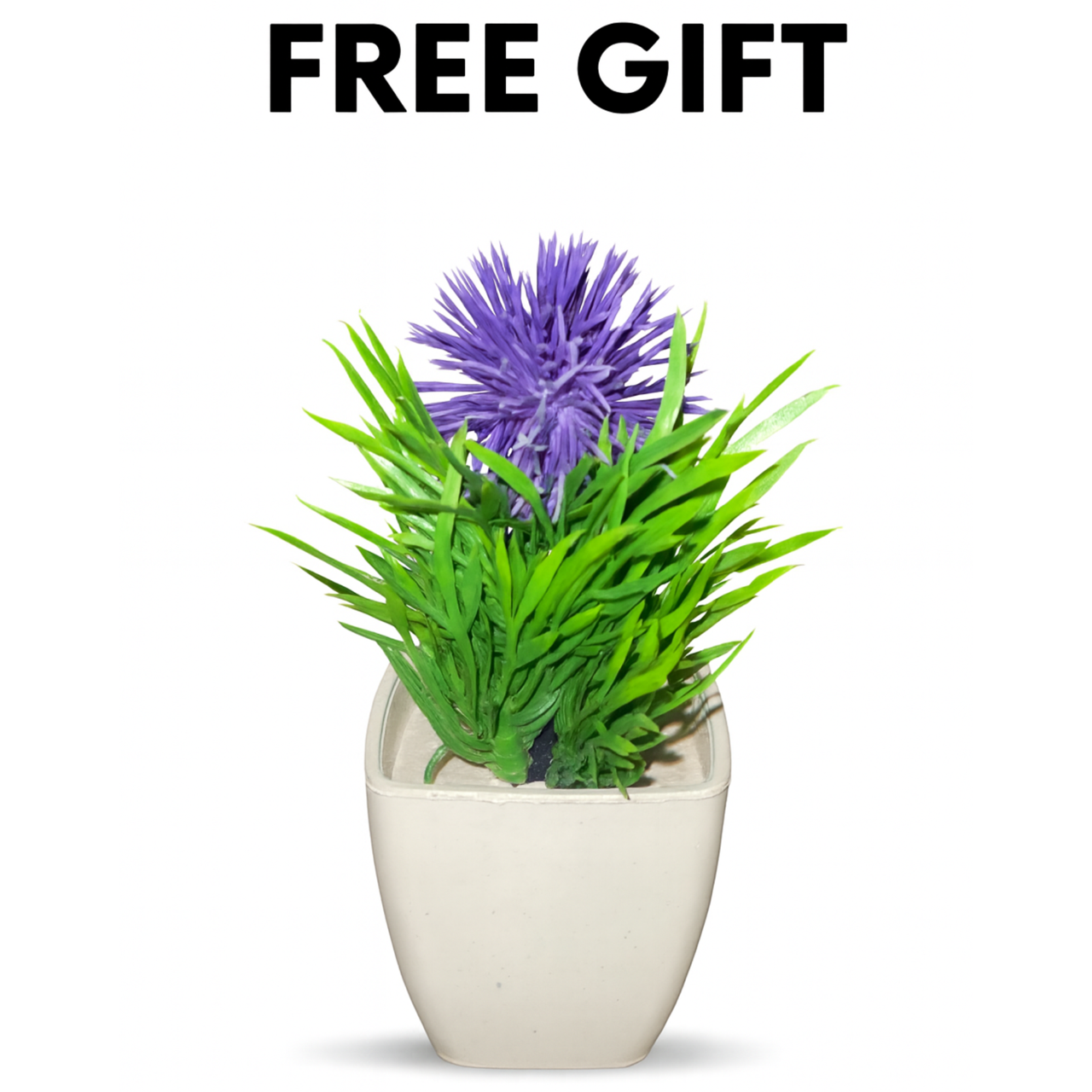 Cosmos Complimentary Free Gift (Only With Any Product Order)