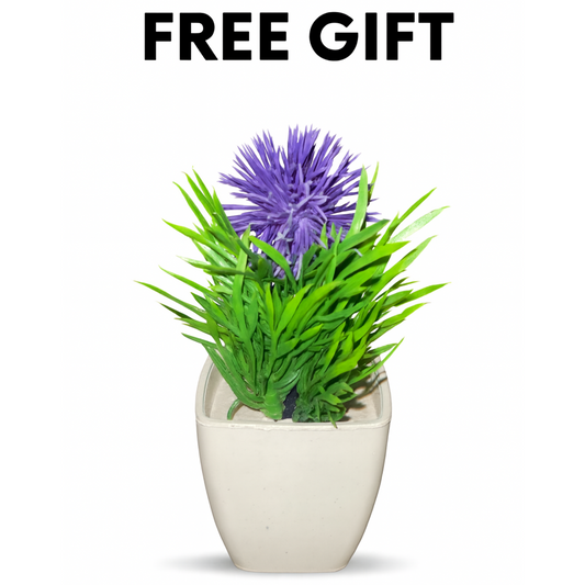 Cosmos Complimentary Free Gift (Only With Any Product Order)