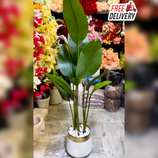 5.5 FT Artificial Banana Palm Plant  With Premium White Pot