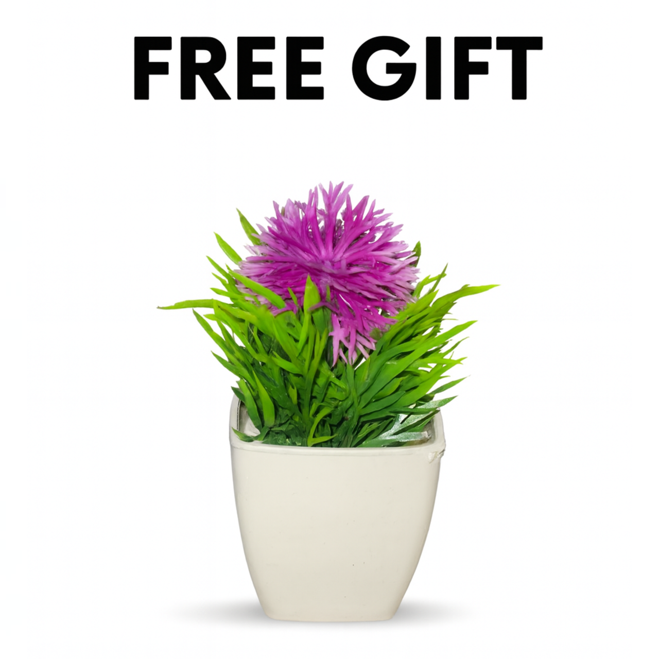 Cosmos Complimentary Free Gift (Only With Any Product Order)
