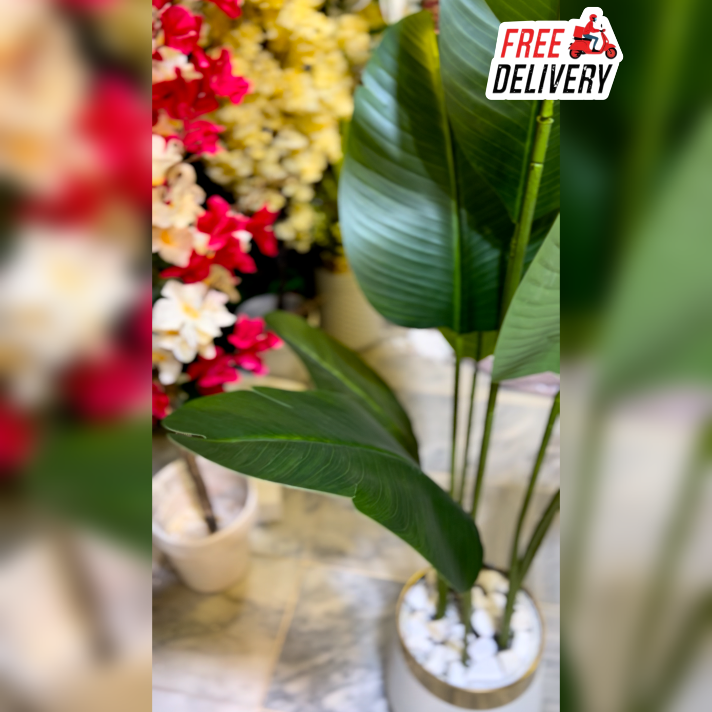 5.5 FT Artificial Banana Palm Plant  With Premium White Pot