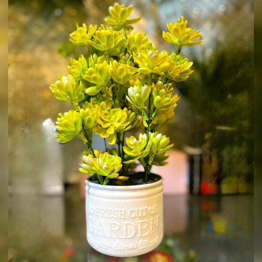 Artificial Succulent Plant in White Ceramic Pot Small Potted Greenery for Home & Office Décor