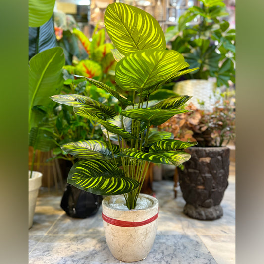 Artificial Calathea Plant in Marble Ceramic Planter 3 ft Decorative Indoor Plant for Home & Office Décor